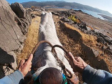 Your Hand on the Reins - Part 1, Following to Close and Separation Anxiety 