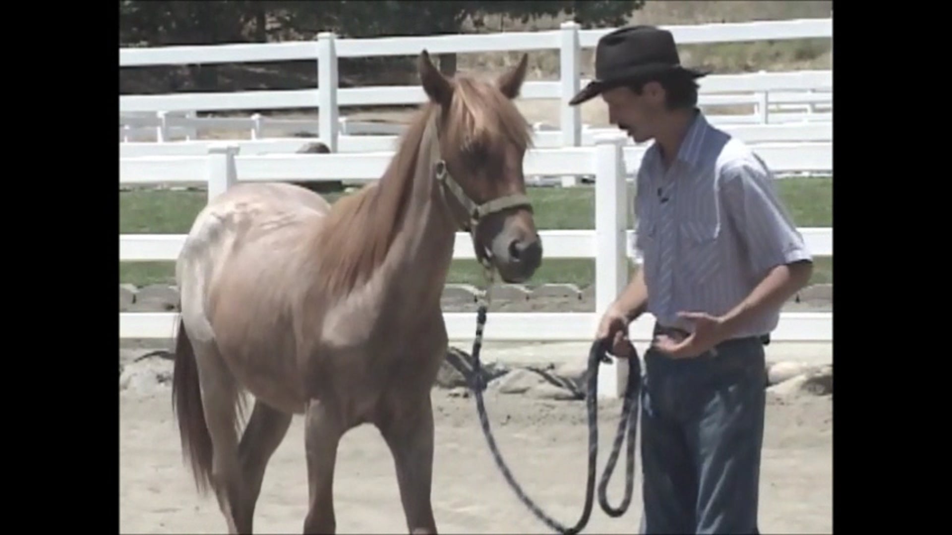 Body Shyness (Ground Exercise) *