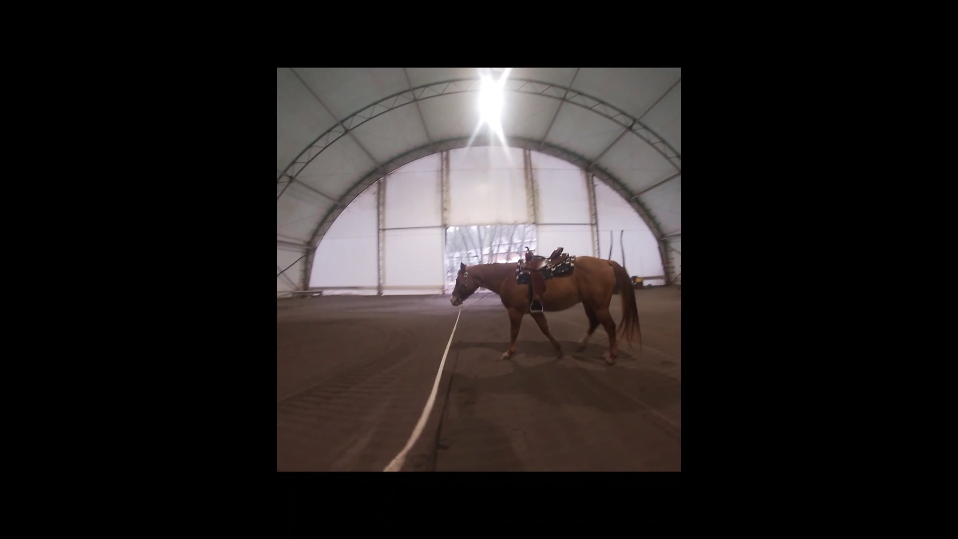 Working With Horses That Have High Anxiety and Hyperventilate Part 1*