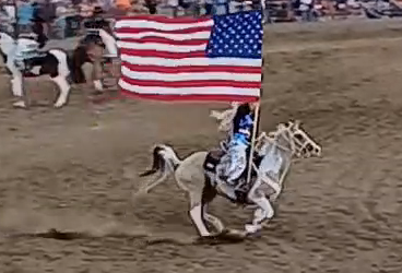 Training Tip, Always Prepare Your Horse For The Show or Event Beforehand