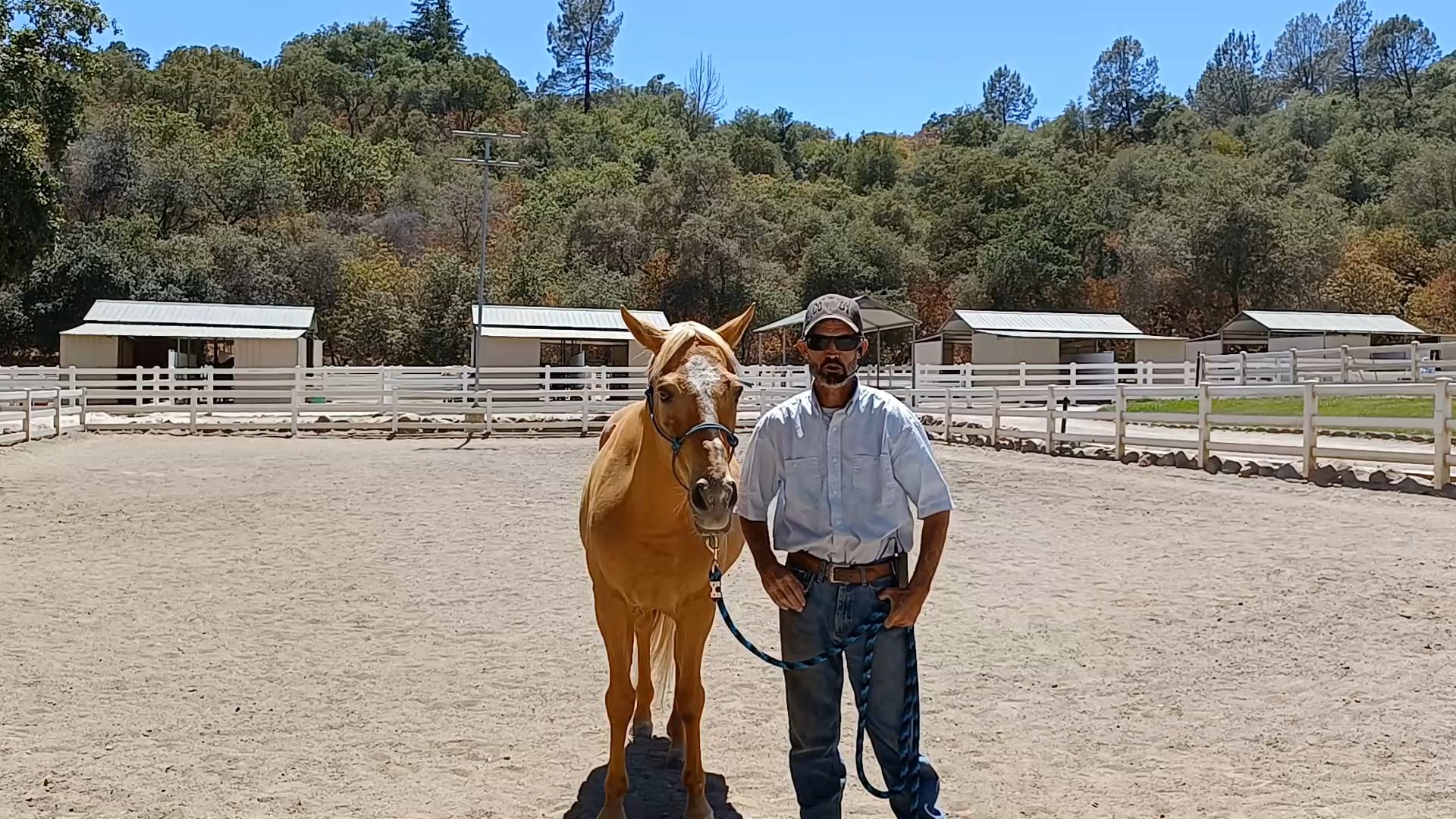 Horse & Rider Horse Welfare and Horsemanship - Episode 2 - From The Ground Up