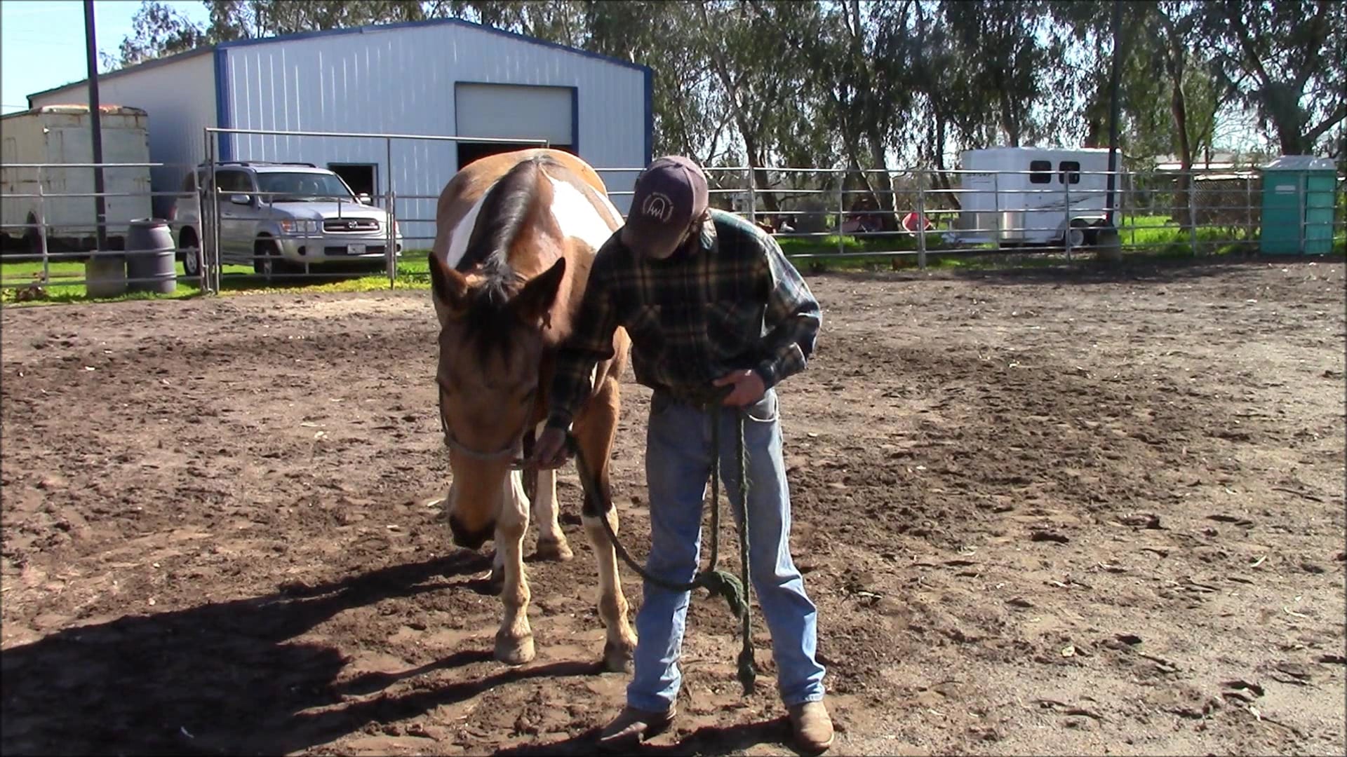 Teaching Your Horse to tie (Ground Exercise)*