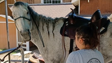 Mike Hughes Horsemanship Members Page Video