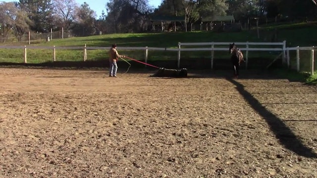Desensitizing Your  Horse (Kite Exercise)*