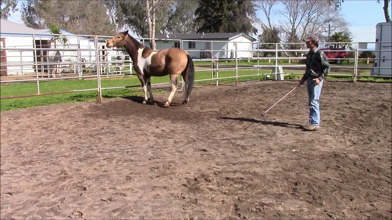 Pulling back while Tied (Part 2, Ground Exercises)*