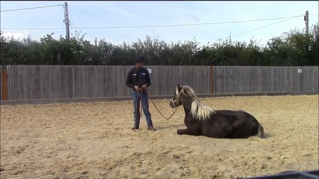 Having fun with your horse, Mike Hughes, Demo in Essex England (Special Event)*