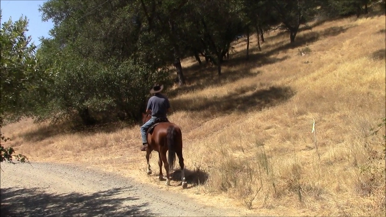 Building Riders Confidence, Riding Up and Down Hills
