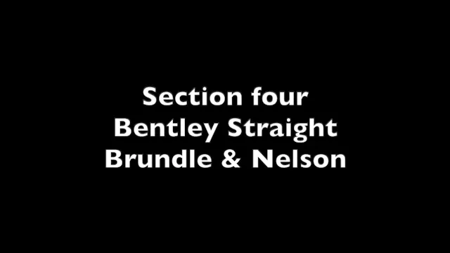 Snetterton section 4