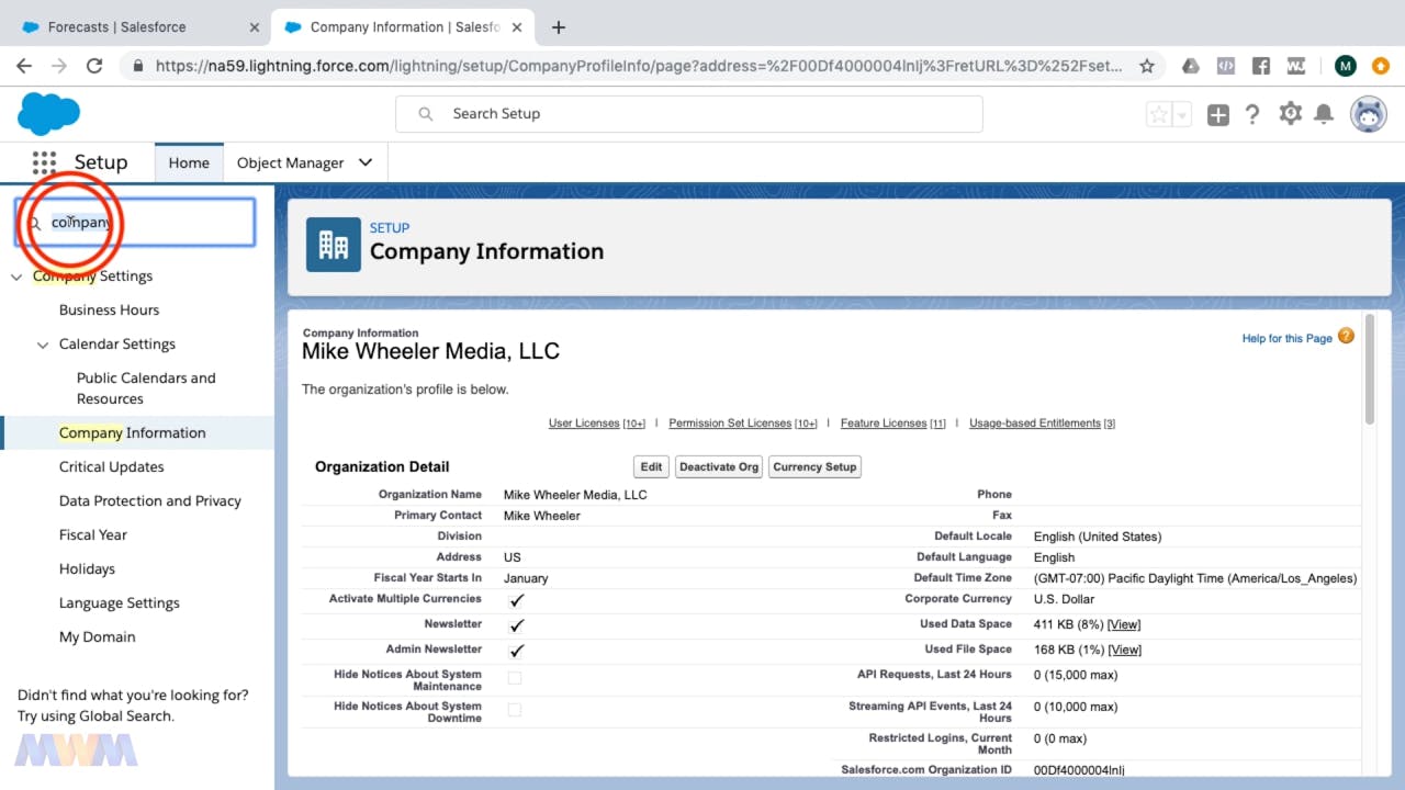 Setting a Default Display Forecast Currency - Salesforce Sns-Brigh10