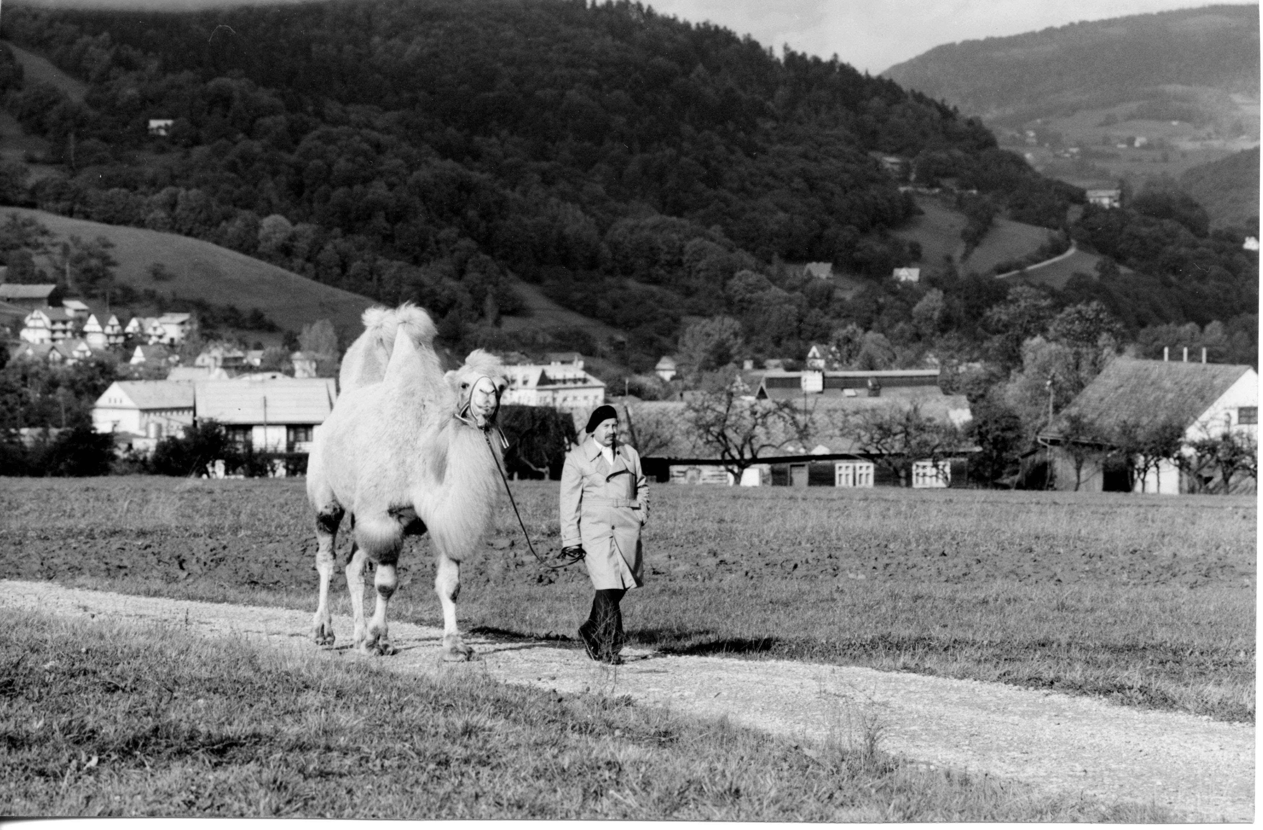 The Big Animal PK.pdf