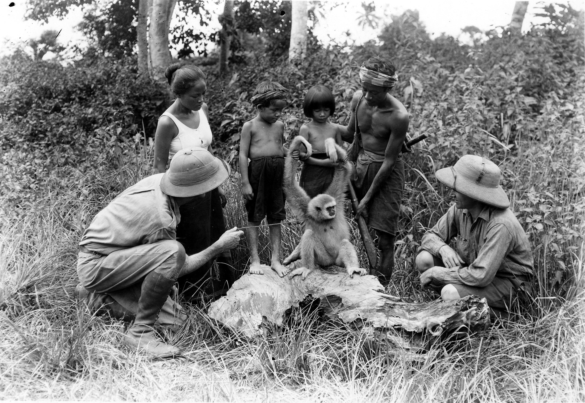 Chang: A Drama of the Wilderness press kit