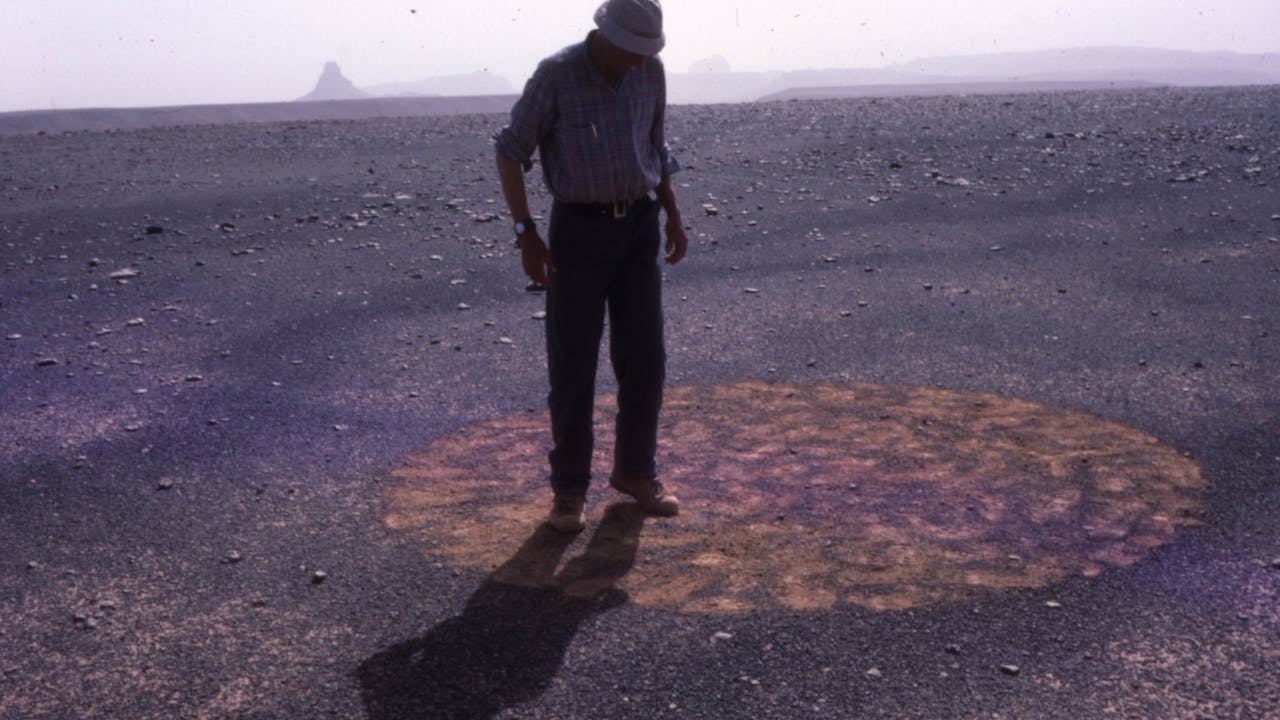 Stones and Flies: Richard Long in the Sahara