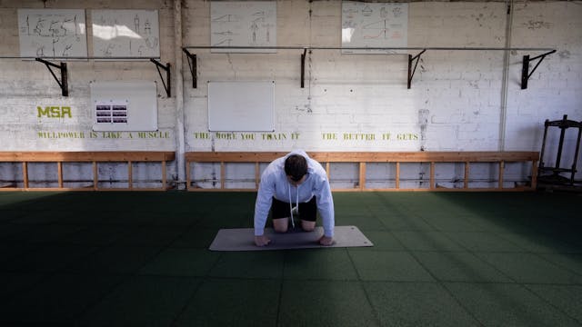 Push-up Dag 24