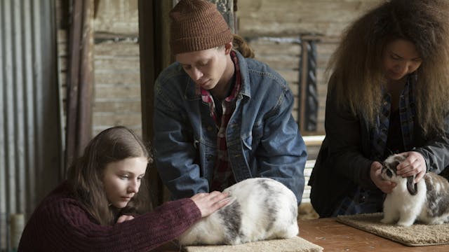 Leave No Trace Behind the Scenes - Rabbits