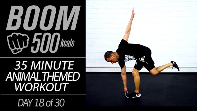 BOOM #18 - 35 Minute Animal Themed Workout