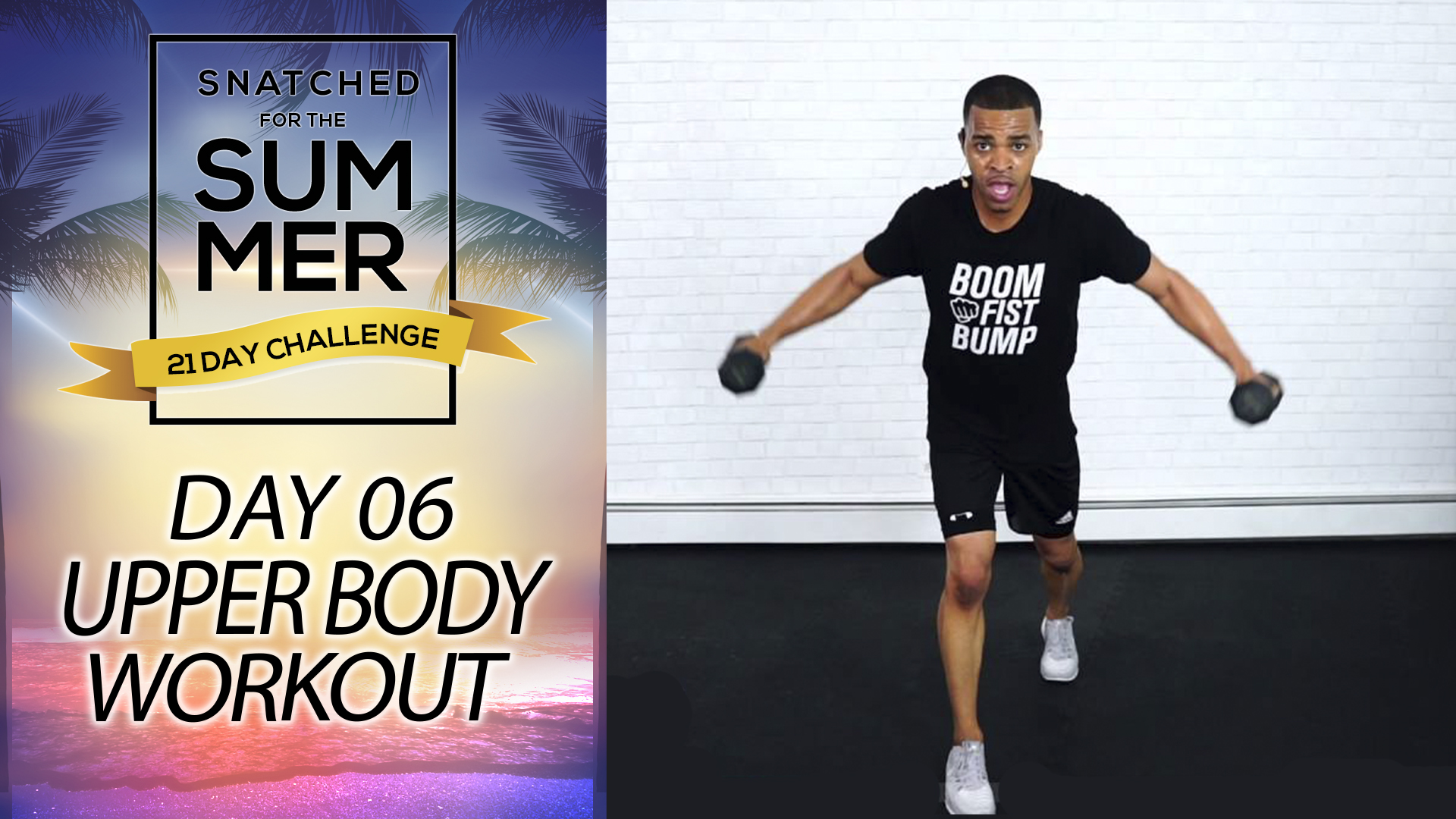 SFTS #06 - 30 Minute Arm Snatcher Home Workout