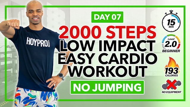 15 Minute Easy Step cardio Workout (Low Impact) - 2000 Steps #07