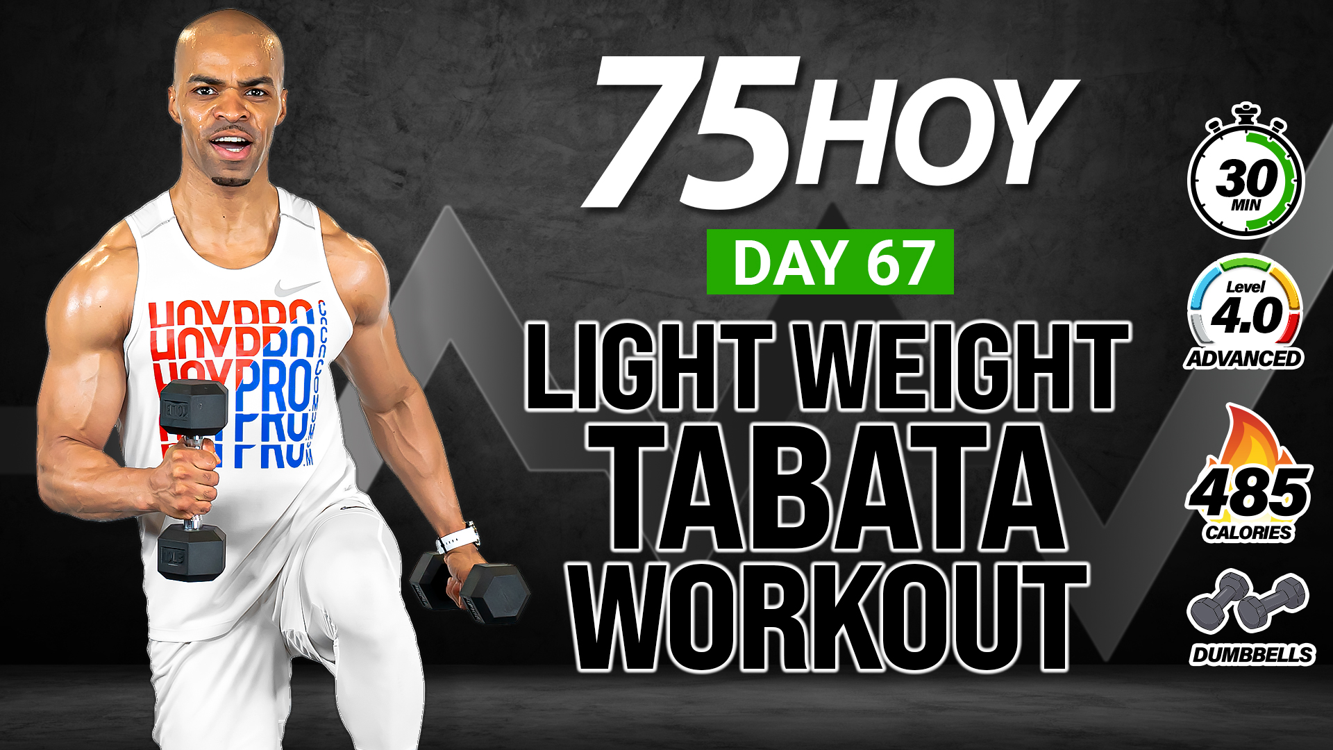 30 Minute Standing No Jumping Light Weight Tabata Workout - 75 HOY #67