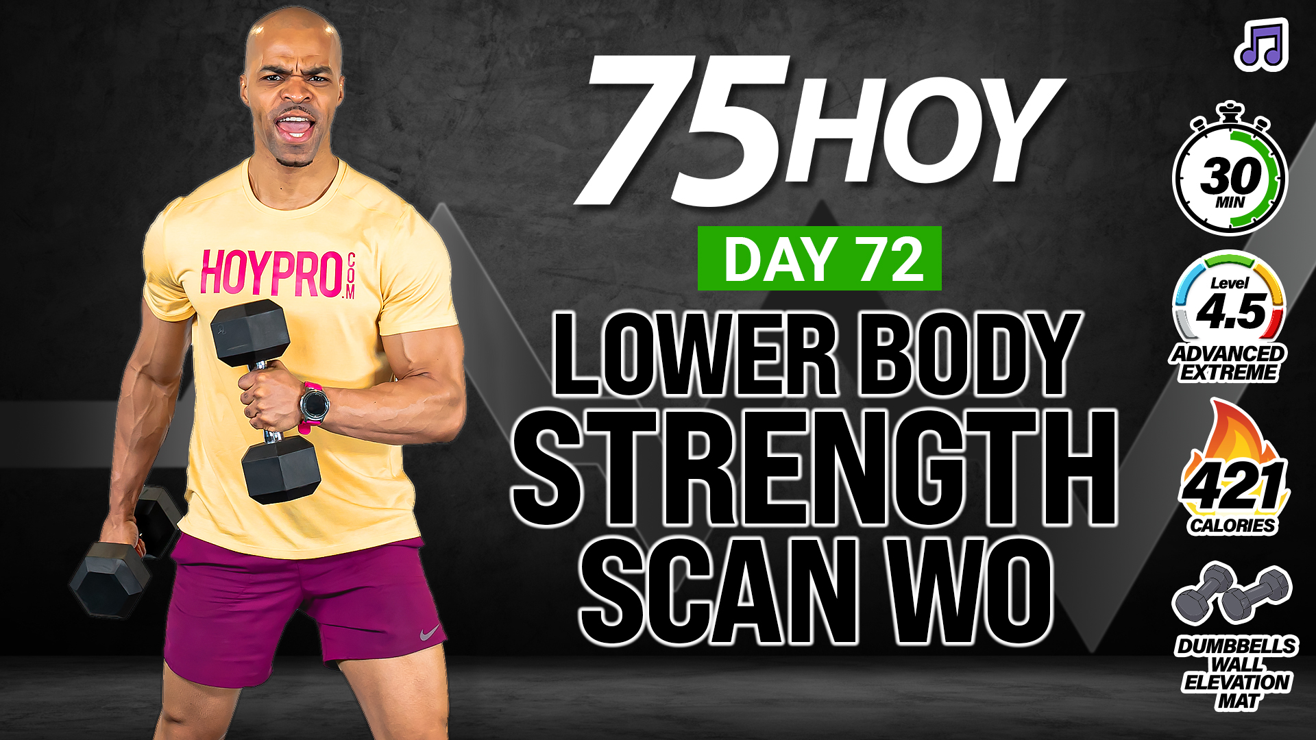 30 Minute Lower Body Strength Scan Workout - 75 HOY #72 (Music)
