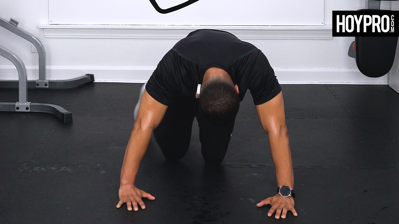 60 Minute Sweat #10 - Total Body Circuits + Abs