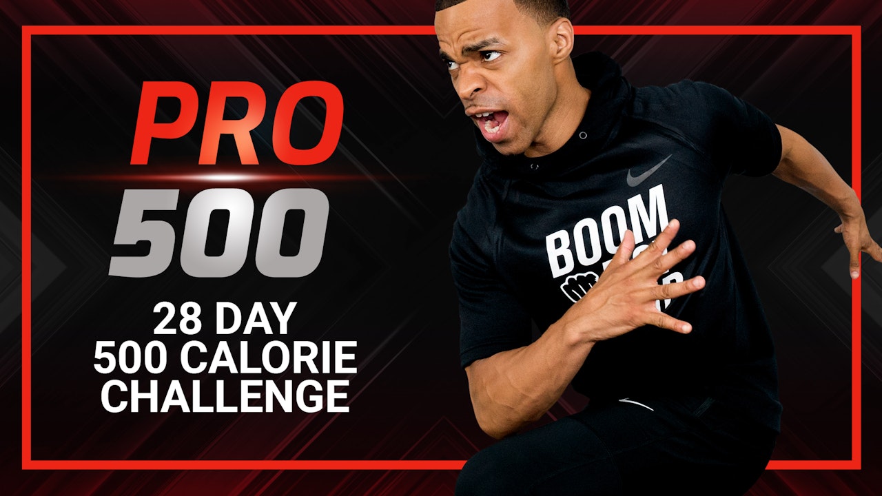 PRO 500 - 28 DAY 35 Minute 500 Calorie Workout Challenge