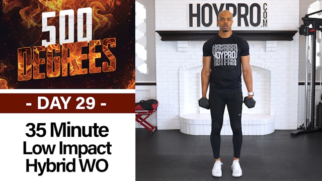 35 Minute Low Impact Hybrid Workout + Burnout - 500 Degrees #29