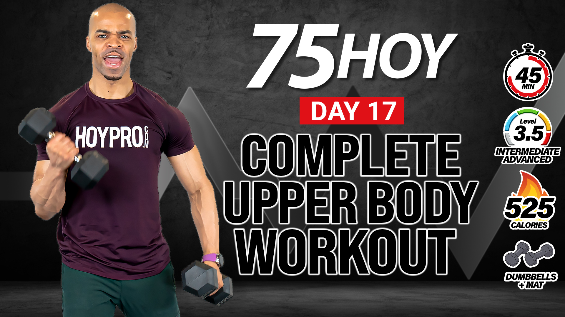 45 Minute Complete ABAB Upper Body Workout - 75HOY #17