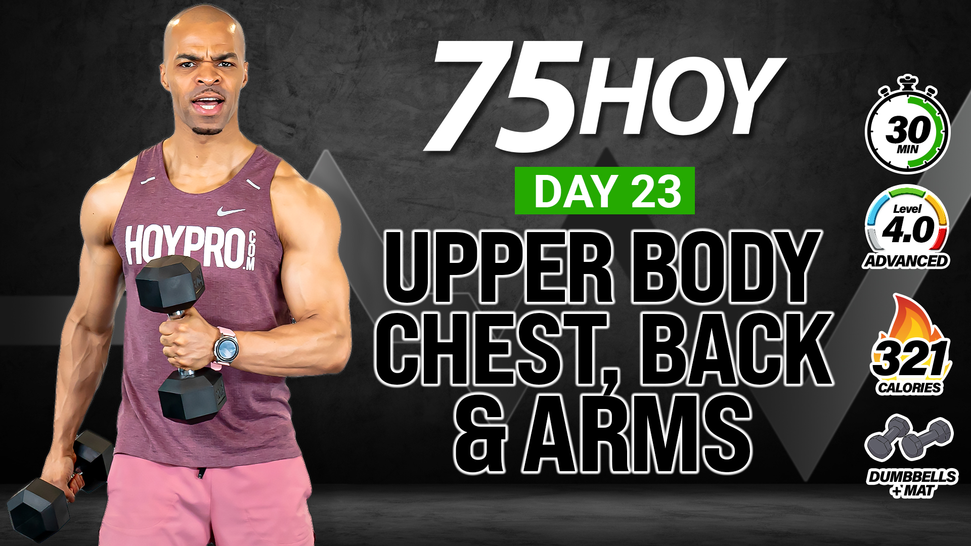 30 Minute Upper Body - Chest, Back & Arms Workout - 75 HOY #23