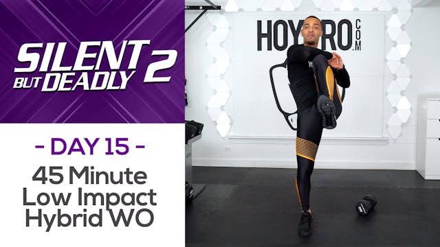 45 Minute Hybrid Low Impact Workout +...
