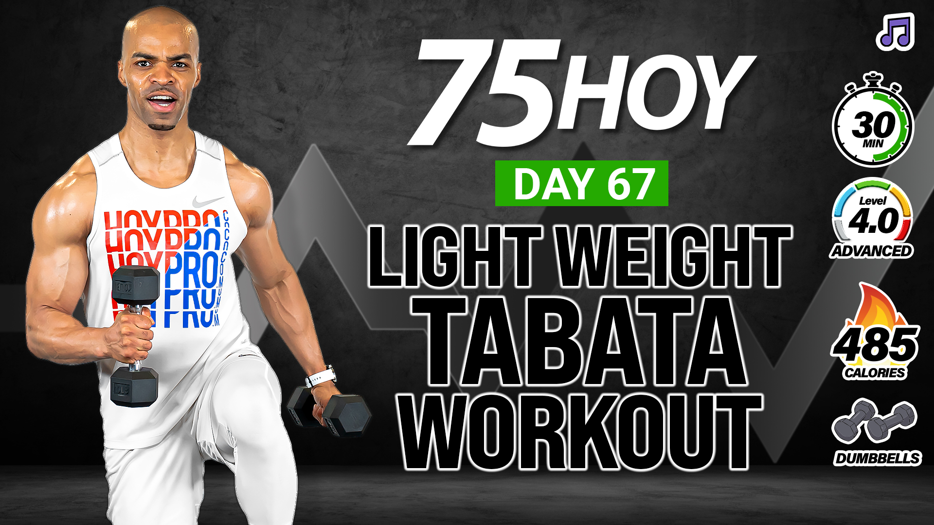30 Minute Standing No Jumping Light Weight Tabata Workout - 75 HOY #67 (Music)