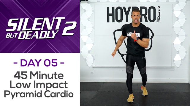 45 Minute Low Impact Cardio Pyramid + Abs - SBD2 #05