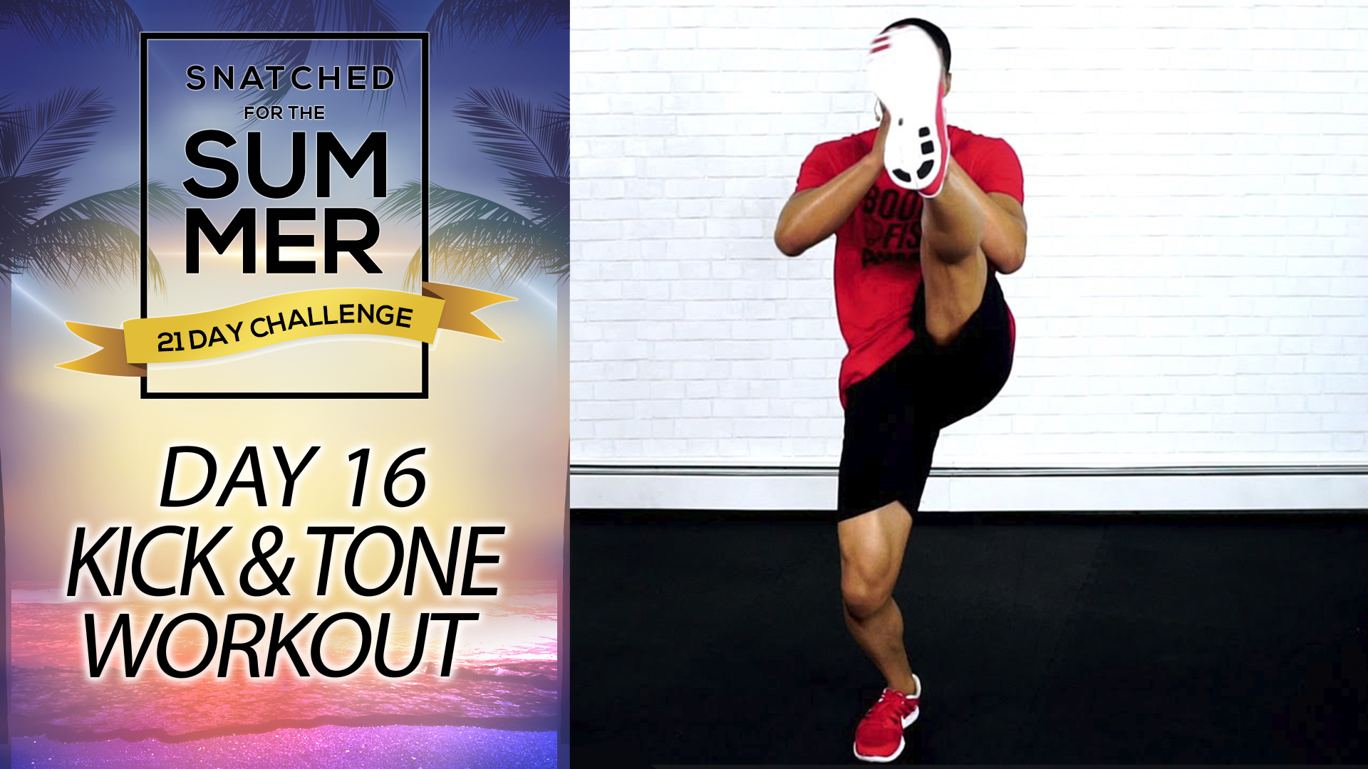 SFTS #16 - 30 Minute Cardio Kick & Sculpt Workout