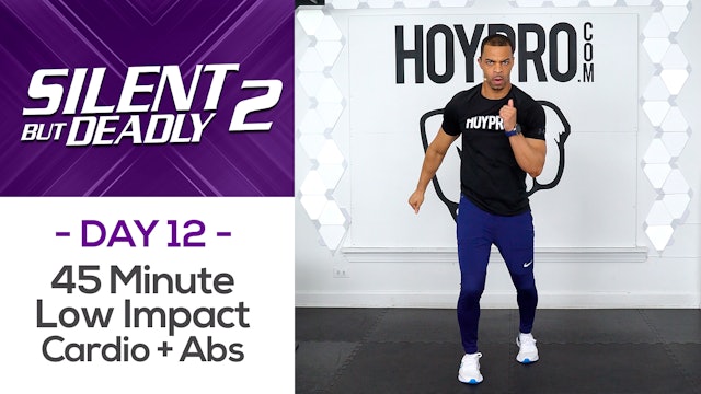 45 Minute Low Impact Pure Cardio Circuits + Abs - SBD2 #12