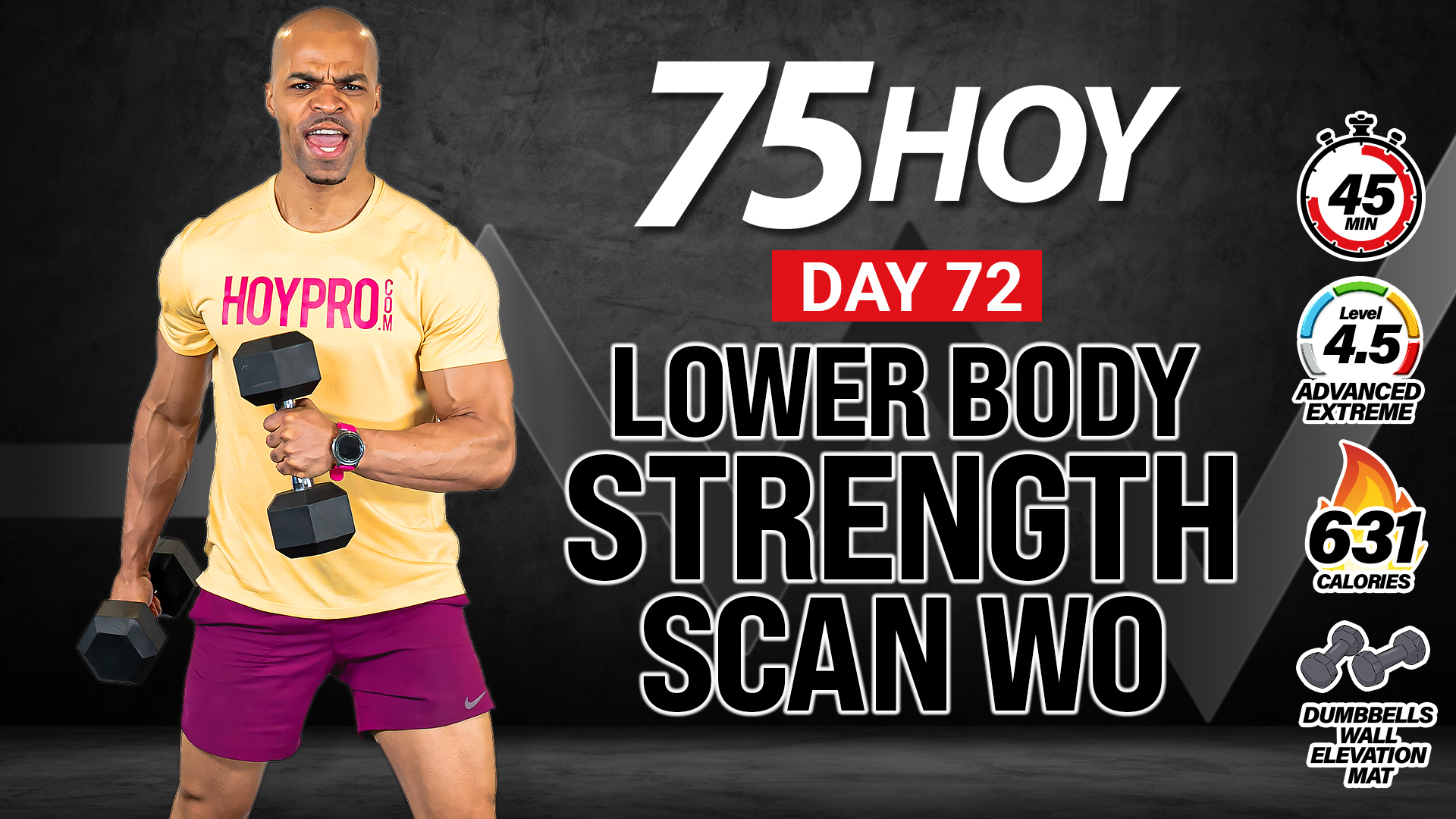 45 Minute Lower Body Strength Scan Workout - 75 HOY #72