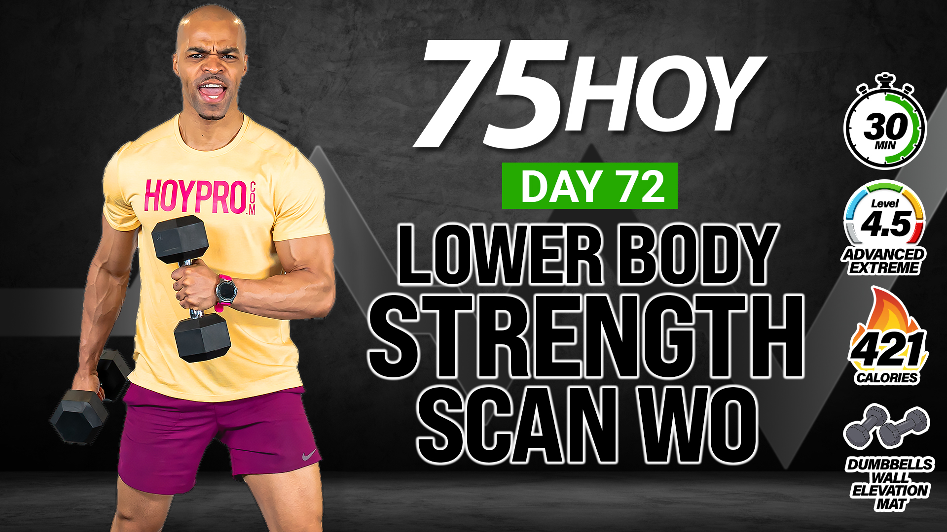 30 Minute Lower Body Strength Scan Workout - 75 HOY #72
