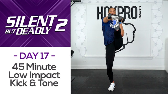 45 Minute Low Impact Kickboxing Tone & Abs - SBD2 #17