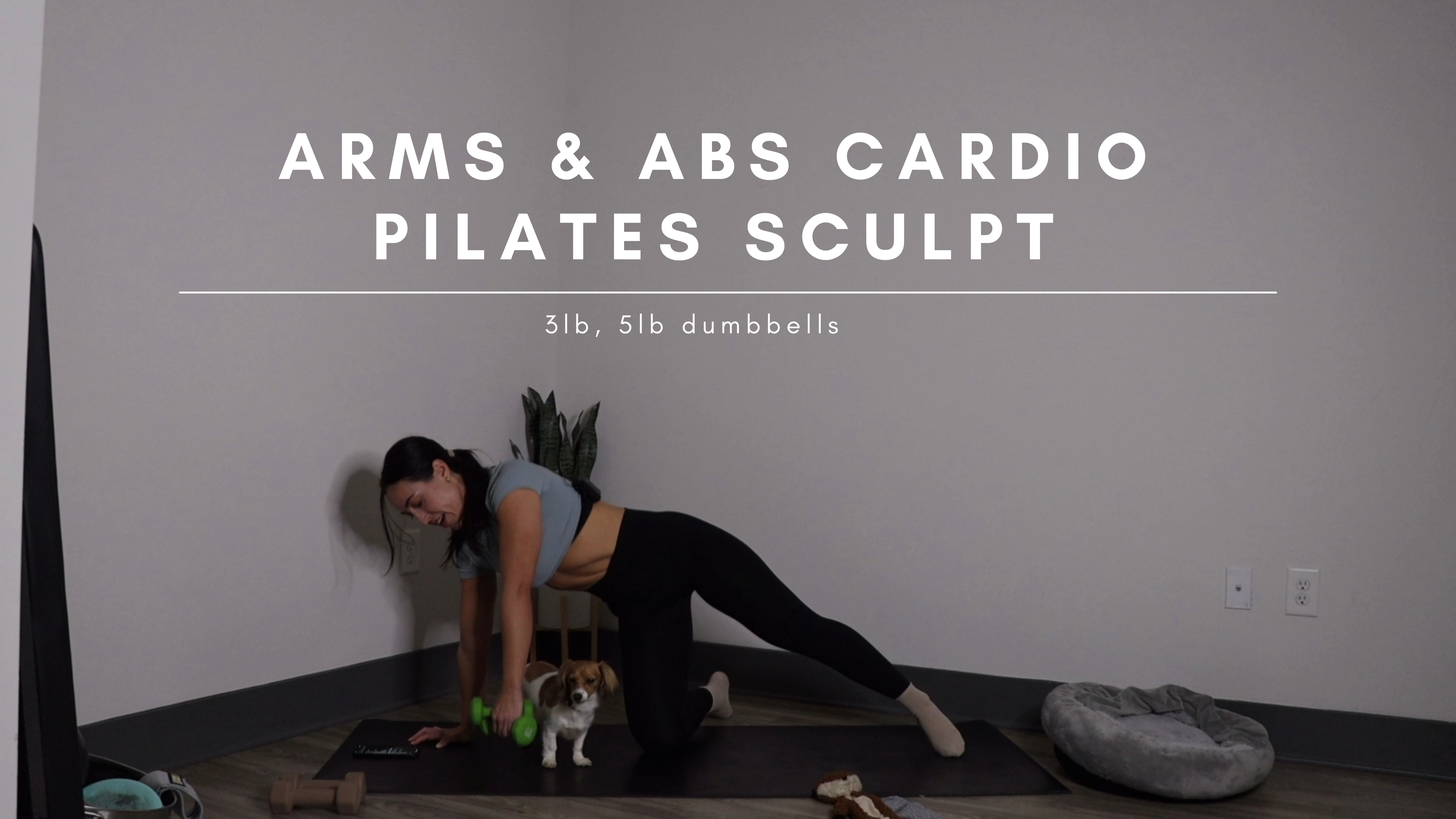 35 Min Arms & Abs Cardio Pilates Sculpt