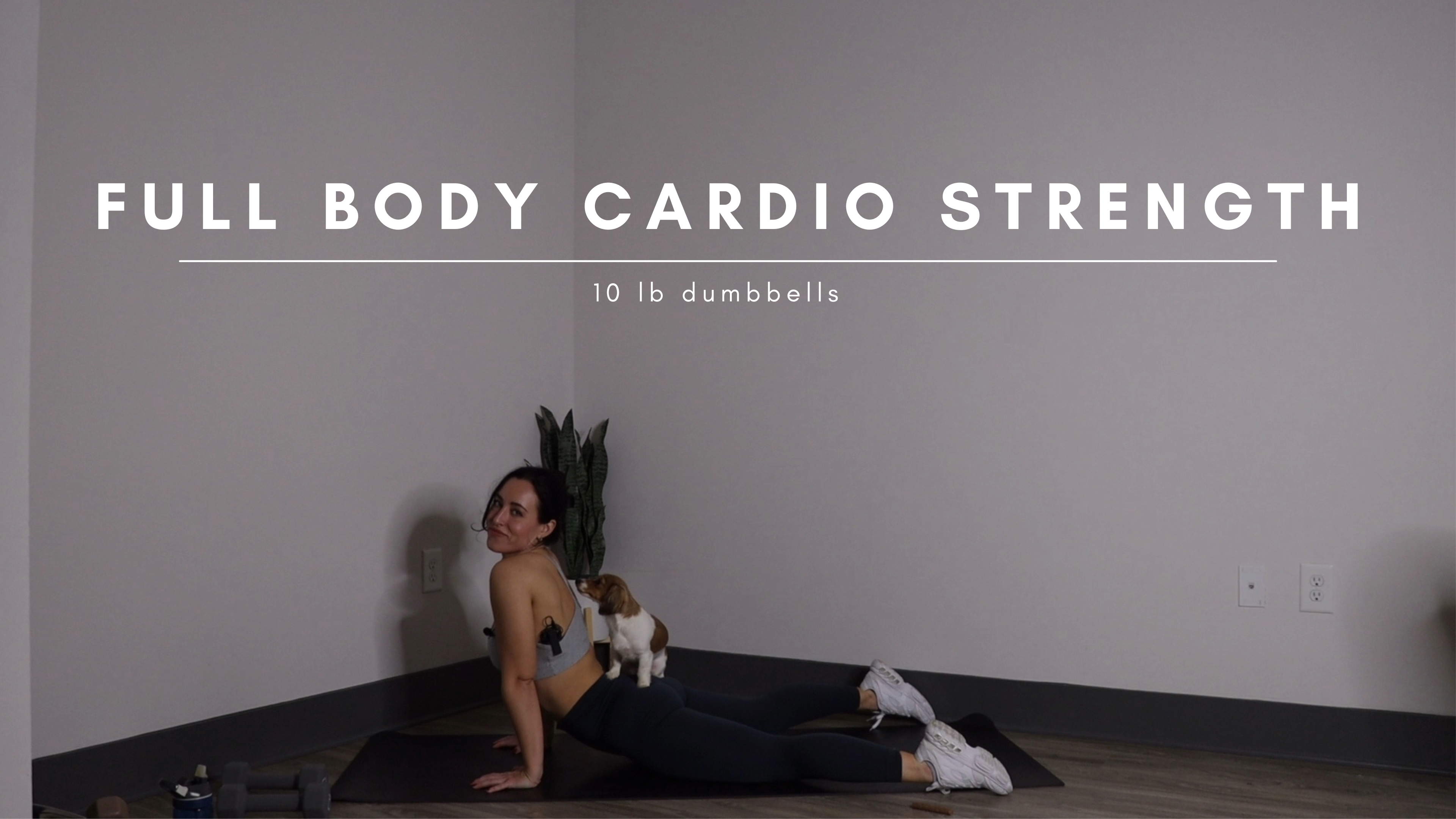 Full Body Cardio Strength 002