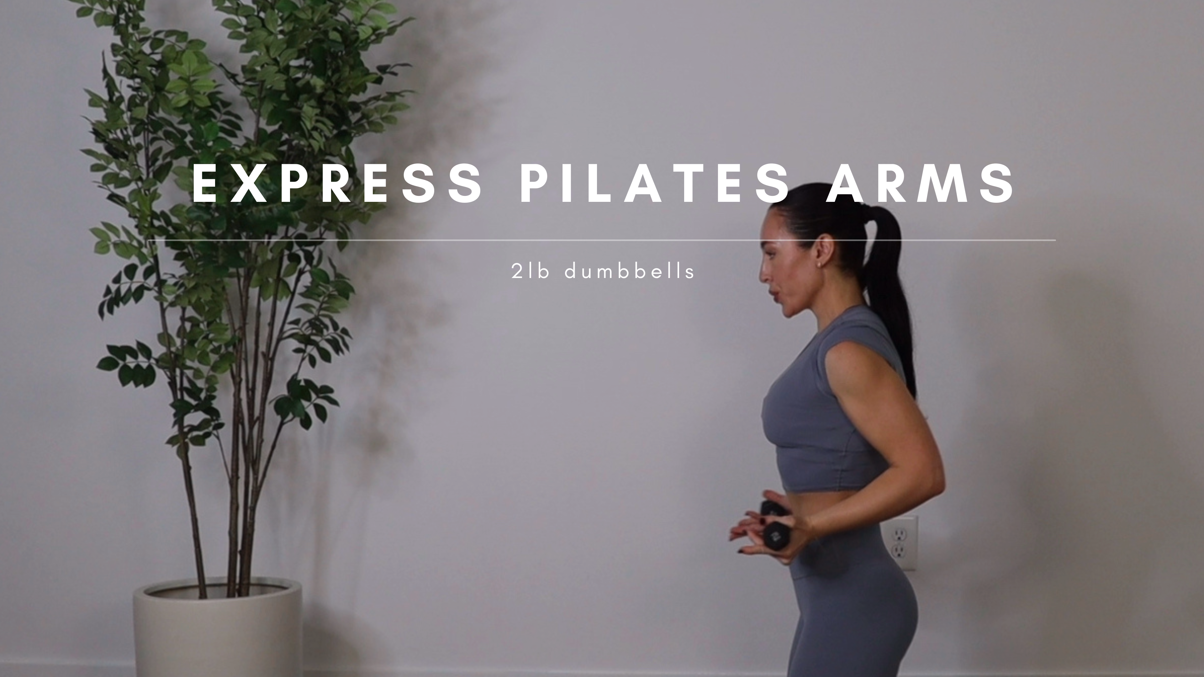 Express Pilates Arms