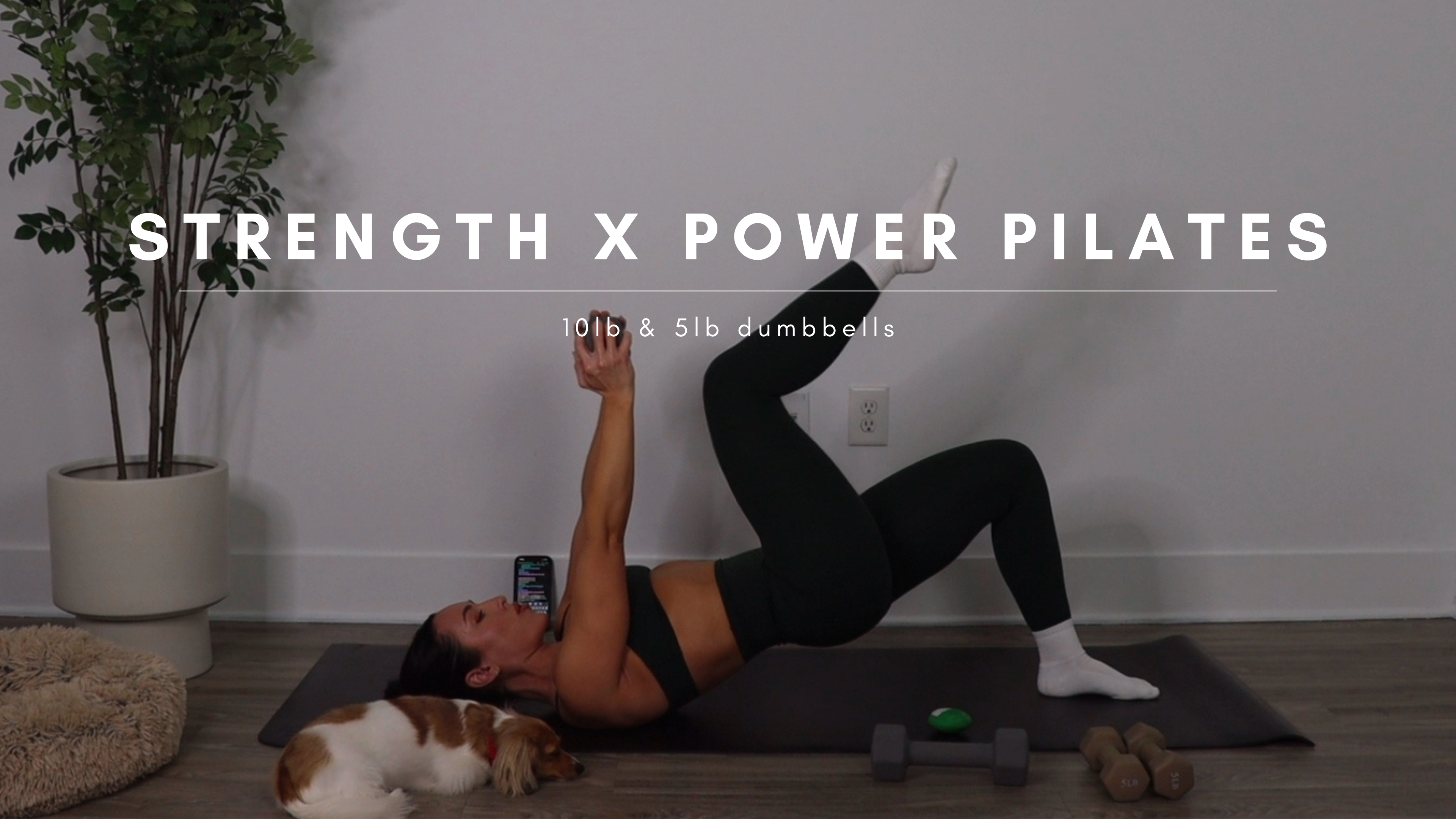 Full Body Strength x Power Pilates