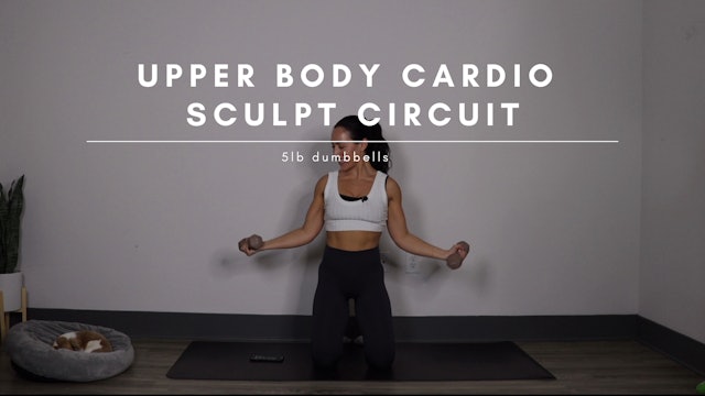 Upper Body Cardio Sculpt Circuit