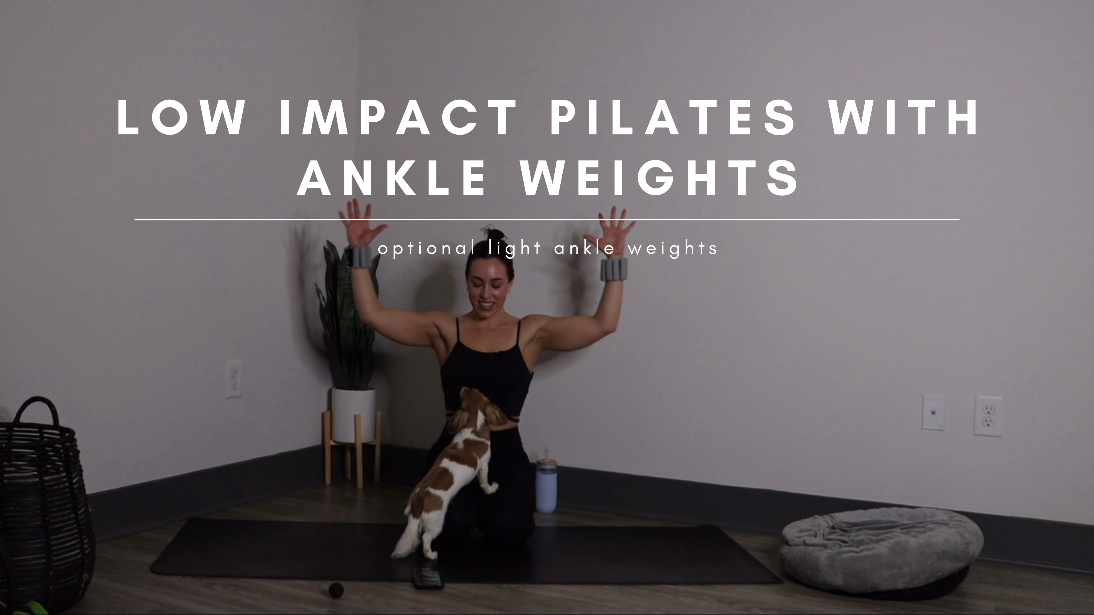 Full Body Low Impact Pilates Flow