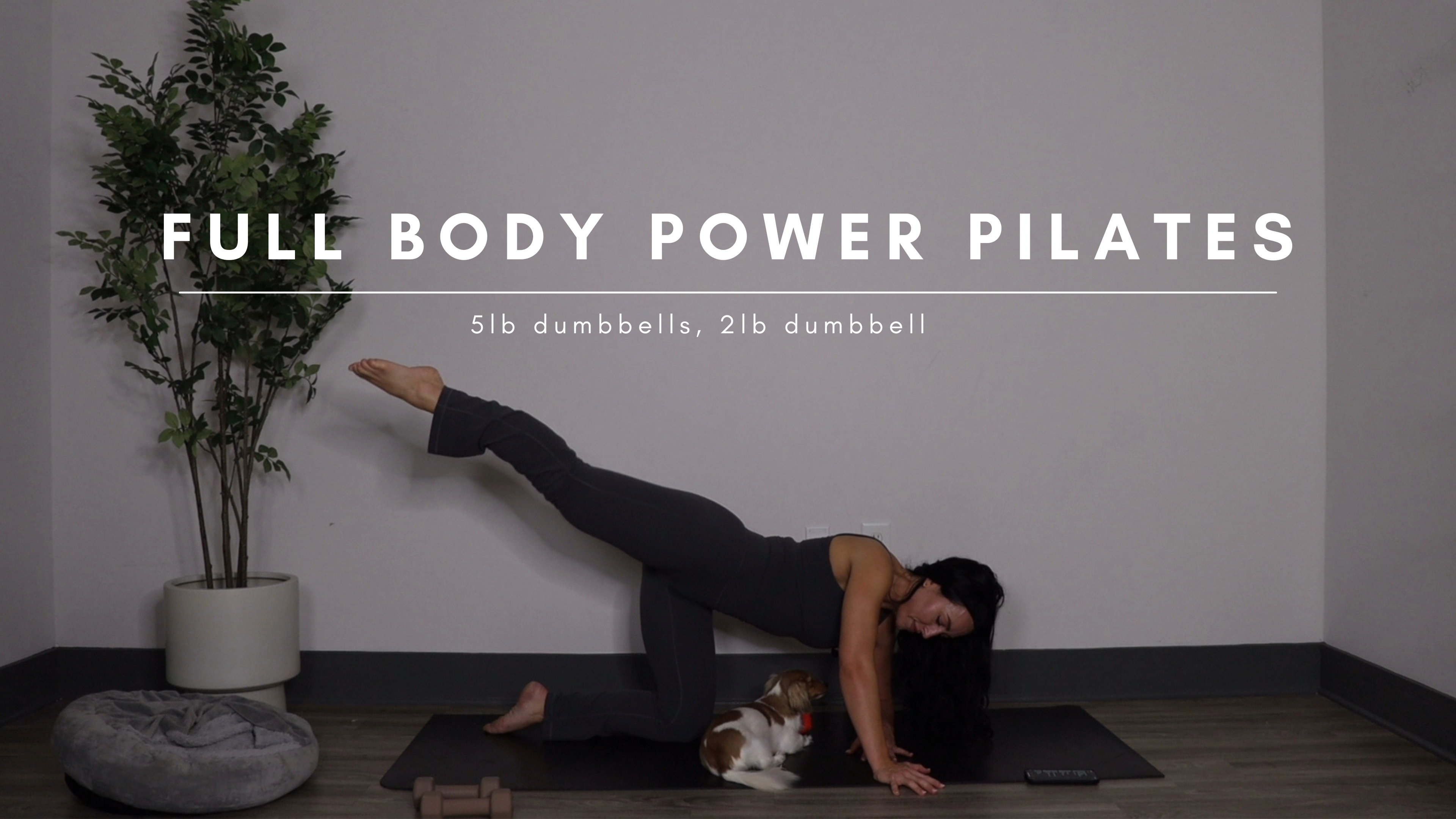 Full Body Power Pilates Sculpt