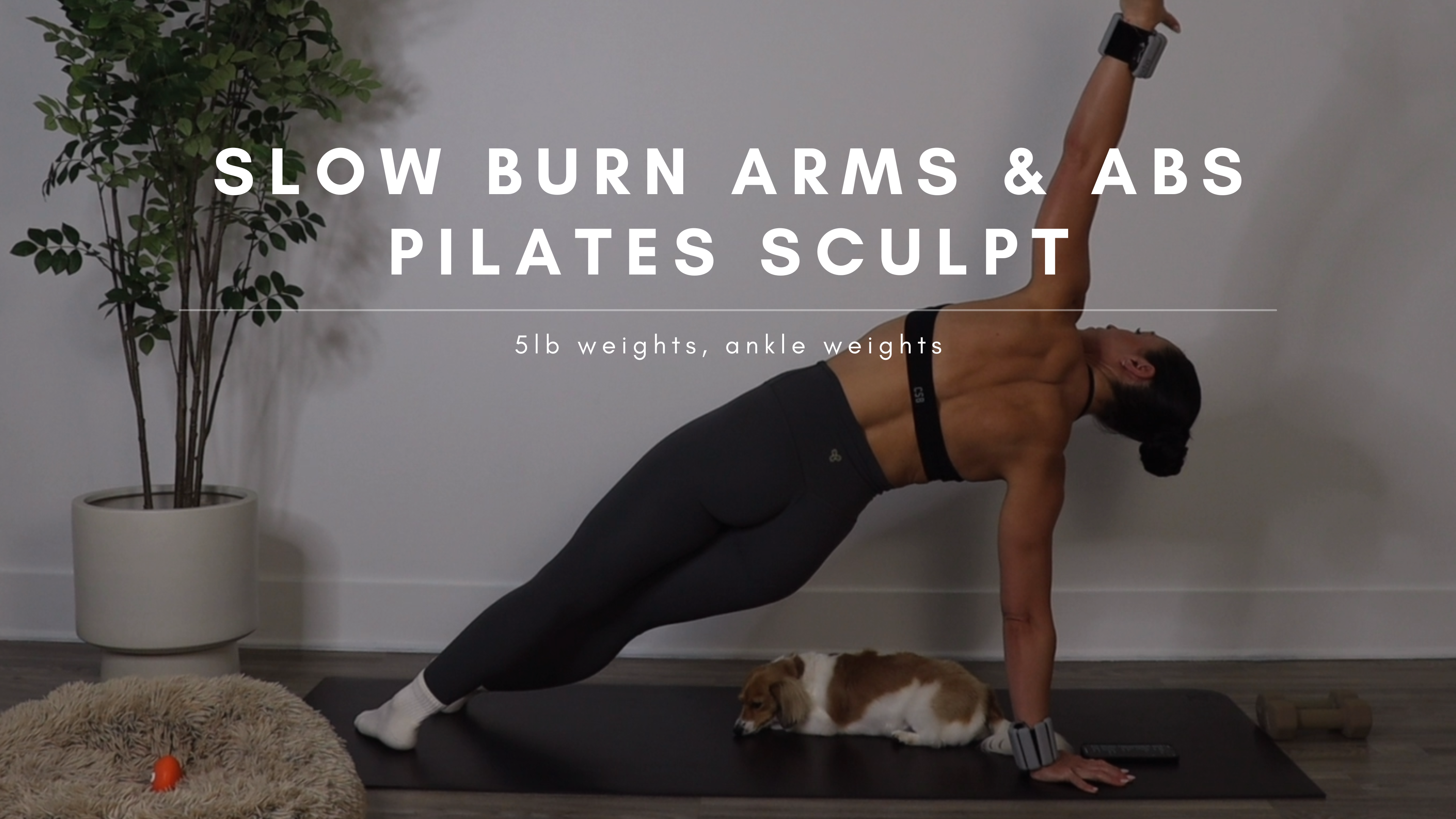Slow Burn Arms & Abs Pilates Sculpt