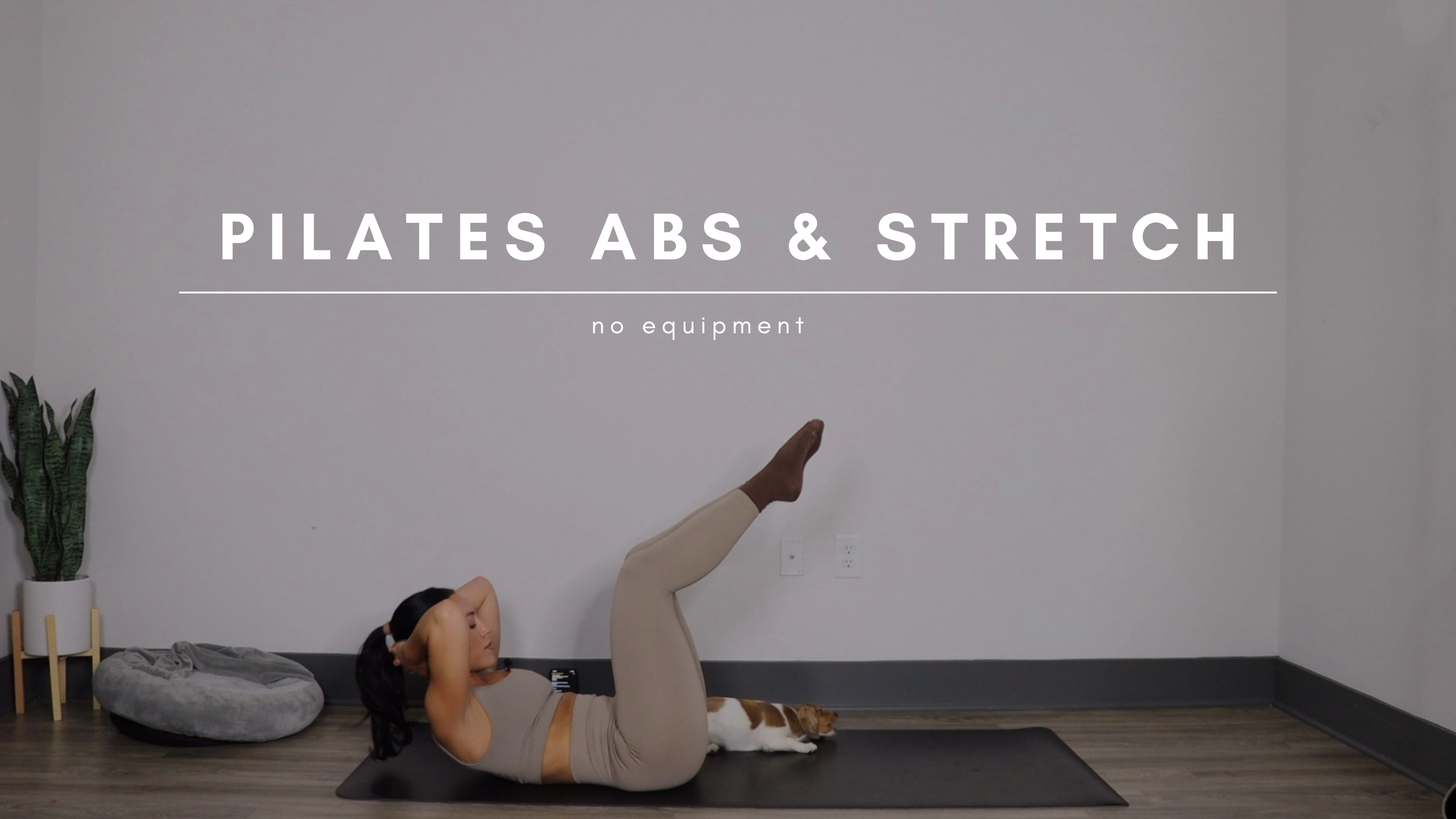 Pilates Abs & Stretch