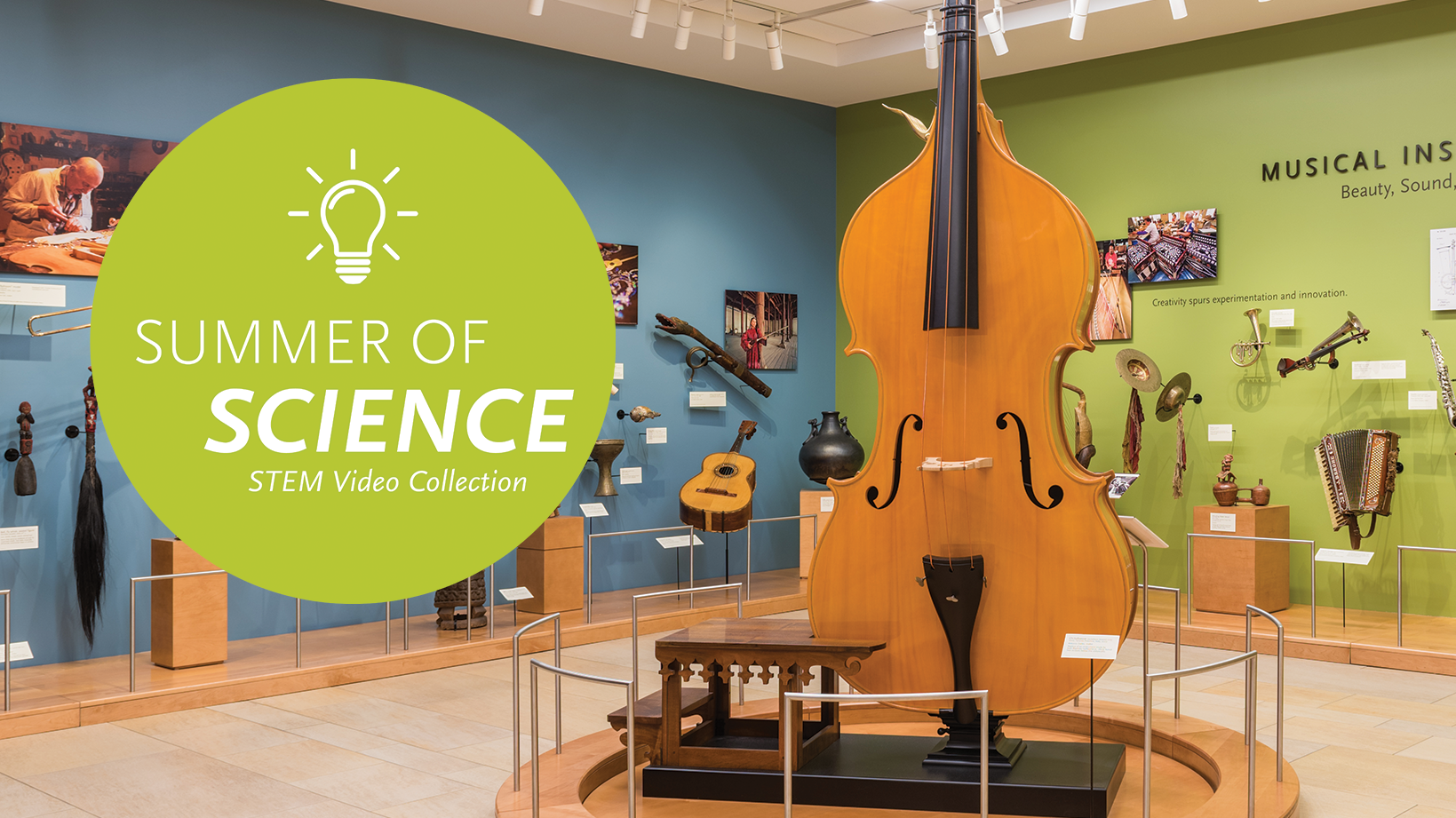 Summer of Science Collection (ages 5-14)