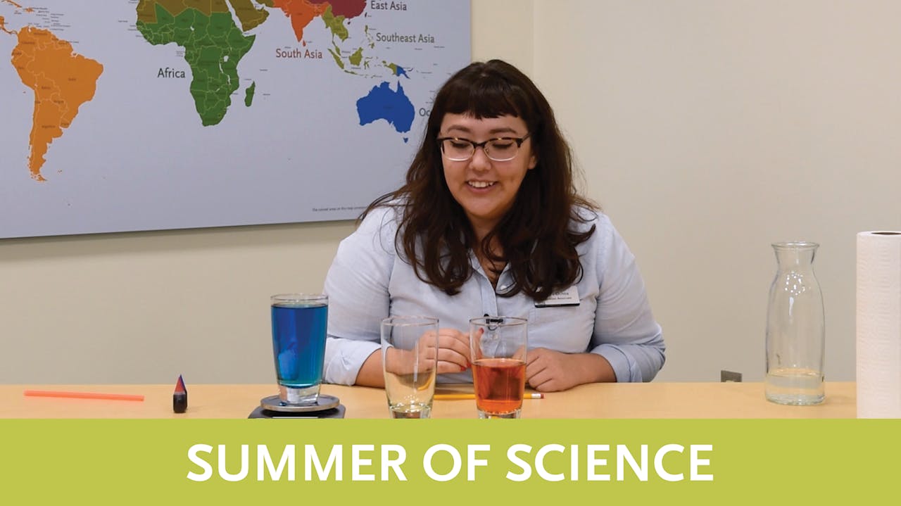 Summer of Science | Video 6 | Idiophones