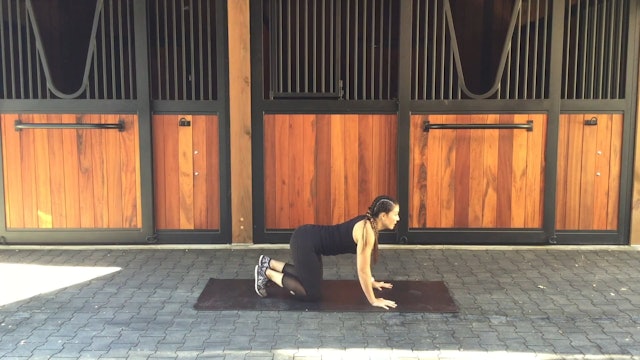 Fitness Week 1: Mobility 30 Minutes (Part II)