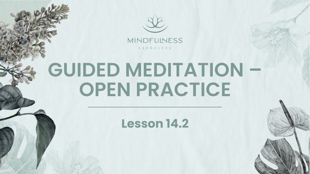 14.2 - Open Practice