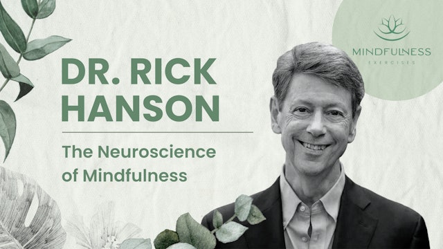 The Neuroscience of Mindfulness - Dr. Rick Hanson